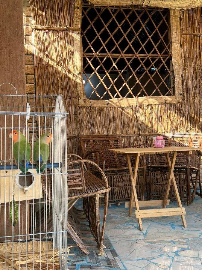 Oasis Camp Hotell Bawati Eksteriør bilde