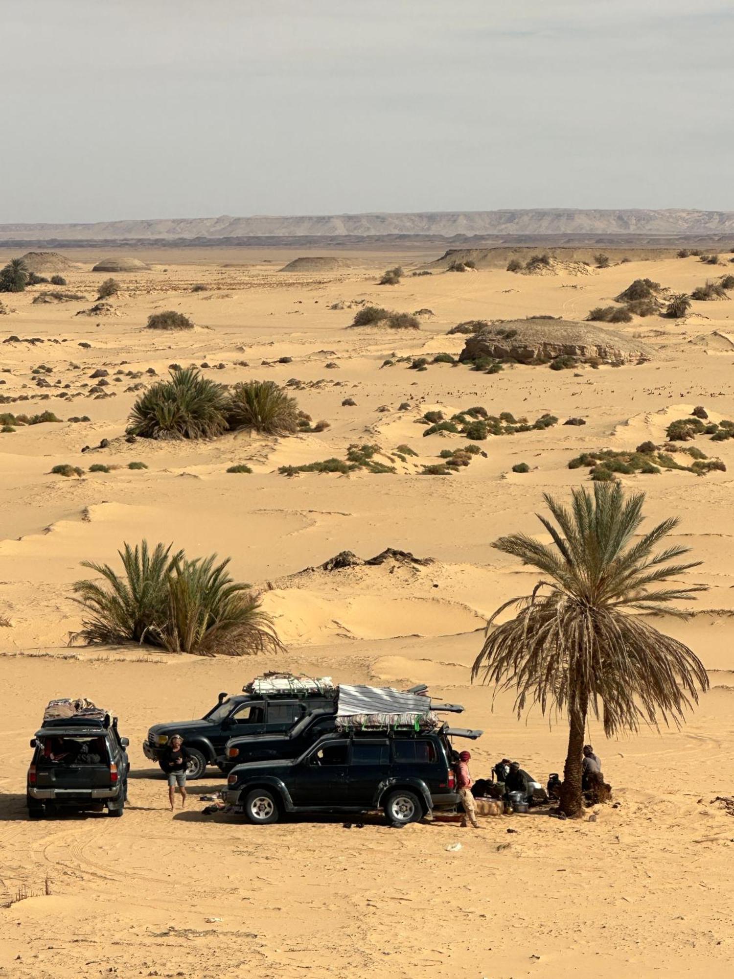 Oasis Camp Hotell Bawati Eksteriør bilde
